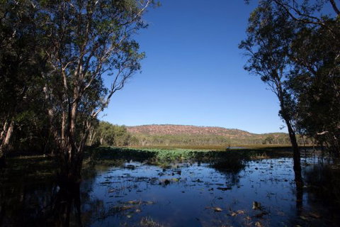 Mount Nancar Wilderness Retreat - Accommodation VIC 6