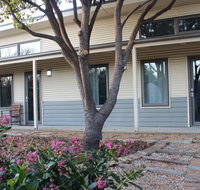 The Grape and Olive in Willunga - Accommodation VIC