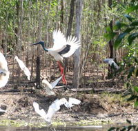 Rakhi Retreat - Accommodation VIC