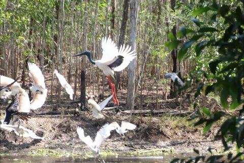 Rakhi Retreat - Accommodation VIC 0