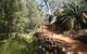 Standley Chasm Angkerle Camping - thumb 7