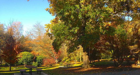 Eastern Dandenong Ranges Visitor Information Centre - Accommodation VIC 1