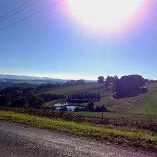Eastern Dandenong Ranges Visitor Information Centre - Accommodation VIC 9