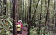 Eastern Dandenong Ranges Visitor Information Centre - thumb 11