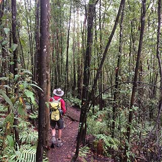 Eastern Dandenong Ranges Visitor Information Centre - Accommodation VIC 11