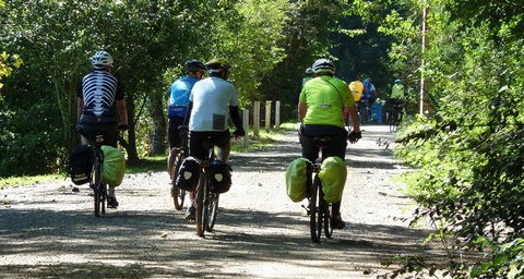 Eastern Dandenong Ranges Visitor Information Centre - Accommodation VIC 13