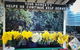 Eastern Dandenong Ranges Visitor Information Centre - thumb 15