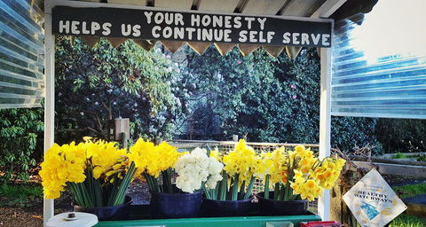 Eastern Dandenong Ranges Visitor Information Centre - Accommodation VIC 15
