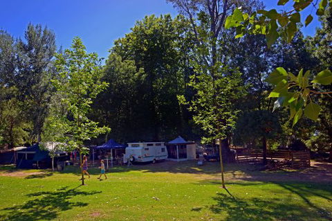 Ardern's Caravan Park, Myrtleford - Accommodation VIC 0