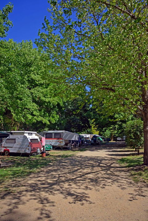 Ardern's Caravan Park, Myrtleford - Accommodation VIC 1