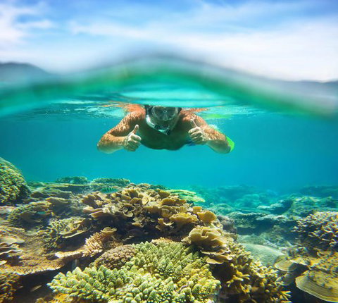 Mackerel Islands - Accommodation VIC 8