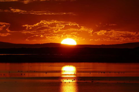 Mundoo Island Station - Accommodation VIC 5