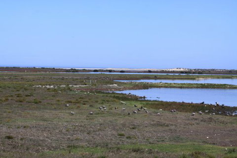 Mundoo Island Station - Accommodation VIC 9