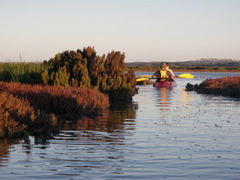 Mundoo Island Station - Accommodation VIC 13