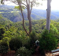 Mt Tamborine Motel - Accommodation VIC