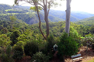 Mt Tamborine Motel - Accommodation VIC 0