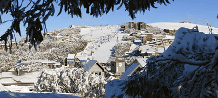 Alpine Ridge Lodge - Accommodation VIC