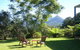 Shambala Bed & Breakfast - thumb 2