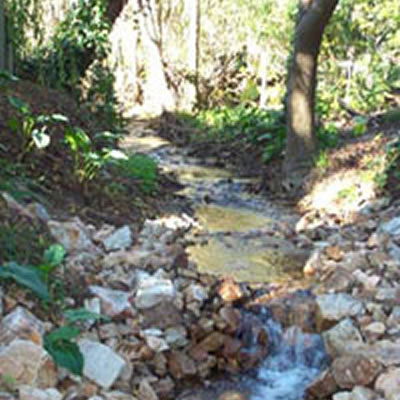Pettswood Lodge - Accommodation VIC 3