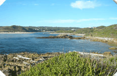 Arthur River Cabin Park - Accommodation VIC 5