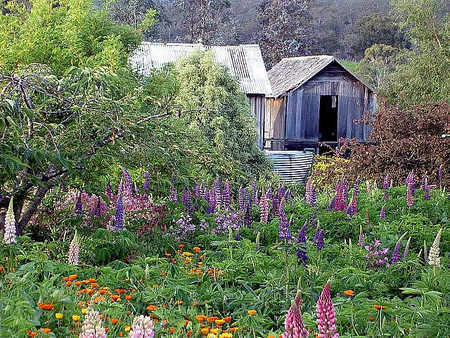 Hamlet Downs Country Accommodation - Accommodation VIC 2