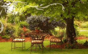 Glencoe Country Bed And Breakfast - Accommodation VIC 1