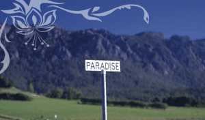 Glencoe Country Bed And Breakfast - Accommodation VIC 2