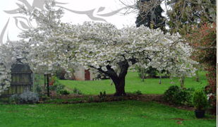 Glencoe Country Bed And Breakfast - Accommodation VIC 3