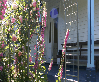 Devonport Bed And Breakfast - Accommodation VIC