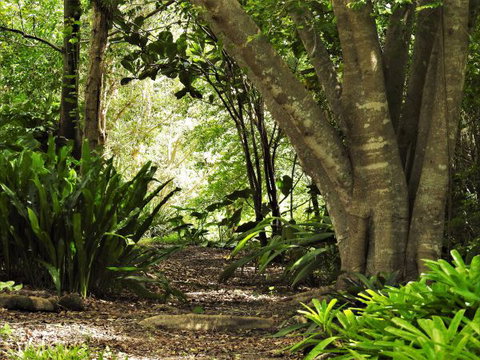 'The Dales' Boutique Bed And Breakfast - Accommodation VIC 7