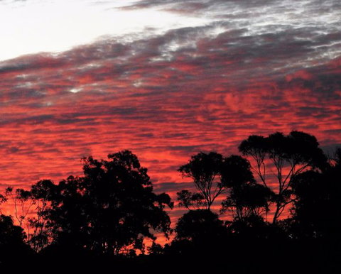 'The Dales' Boutique Bed And Breakfast - Accommodation VIC 8