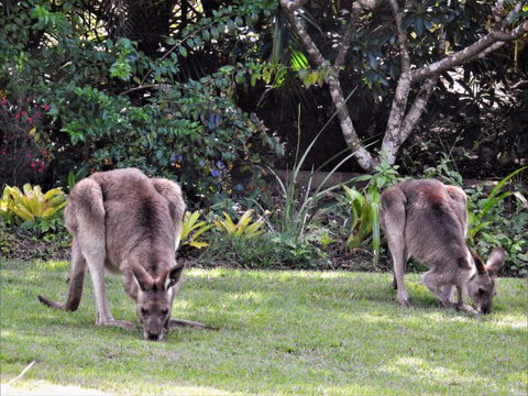 'The Dales' Boutique Bed And Breakfast - Accommodation VIC 9