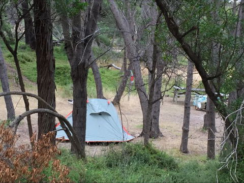 Allports Beach Camping Ground - Accommodation VIC 5