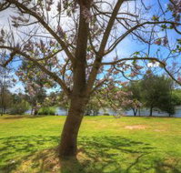 Breakaway Twin Rivers Caravan Park - Accommodation VIC