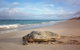 Gnaraloo Station - thumb 9