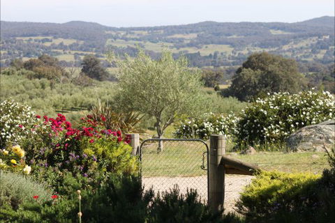 L'Oliveraie - Accommodation VIC 1