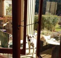 Mara Ponds Branxholm - Accommodation VIC