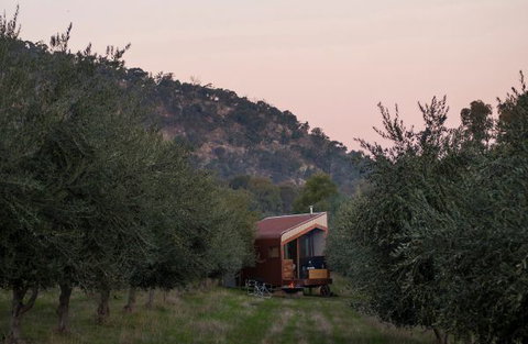 Shacky In The Olive Grove - Accommodation VIC 0