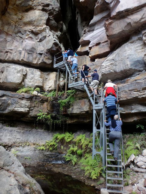 Takarakka Bush Resort Carnarvon Gorge - Accommodation VIC 0