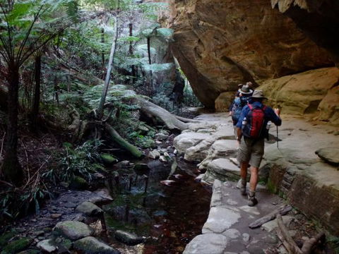 Takarakka Bush Resort Carnarvon Gorge - Accommodation VIC 6