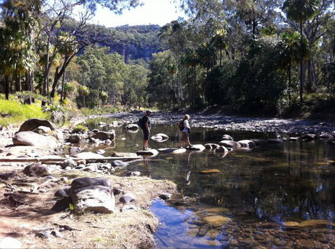 Takarakka Bush Resort Carnarvon Gorge - Accommodation VIC 9