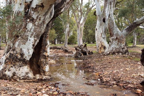 Upalinna Station - Accommodation VIC 2