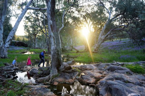 Upalinna Station - Accommodation VIC 3