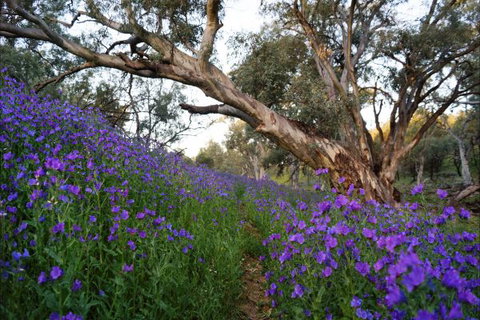 Upalinna Station - Accommodation VIC 4