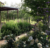 Wandana Bed and Breakfast - Accommodation VIC