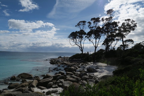 Binalong Bay Beach Shack - Accommodation VIC 0