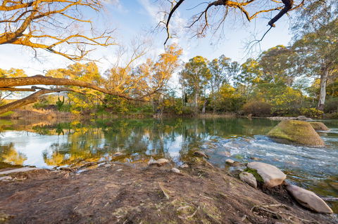 Eildon Riverside Holiday Park - Accommodation VIC 8