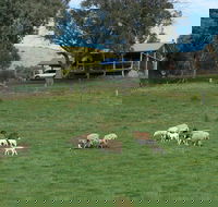 Gaddleen Grove Cottages - Accommodation VIC