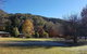 Harrietville Cabins And Caravan Park - thumb 1