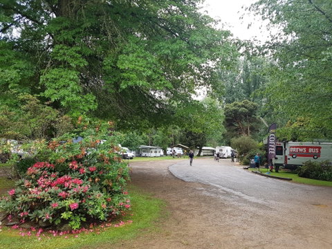 Harrietville Cabins And Caravan Park - Accommodation VIC 8